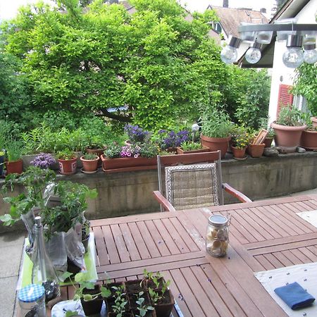 Guest Room Zollikon Zuerich Ngoại thất bức ảnh