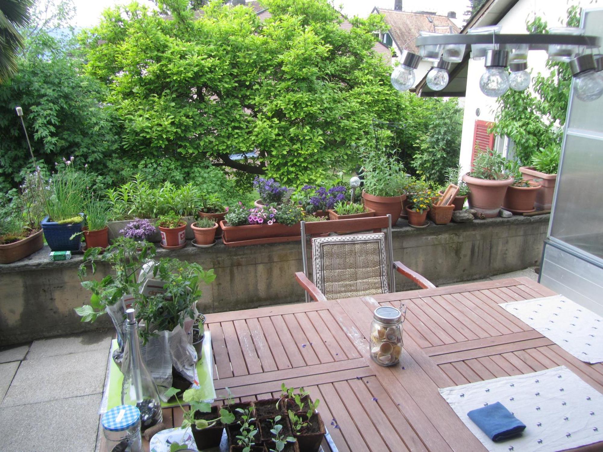 Guest Room Zollikon Zuerich Ngoại thất bức ảnh